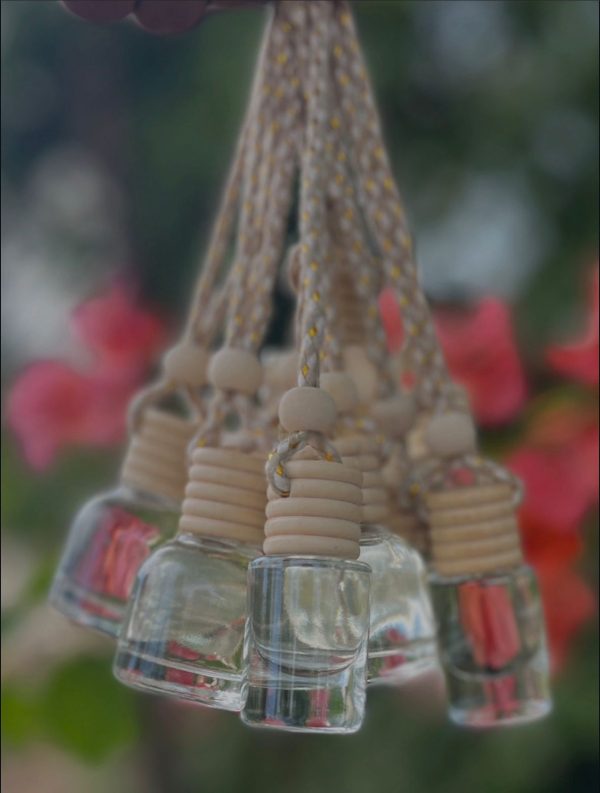toza signature hanging air refreshner toza signature hanging air refreshner